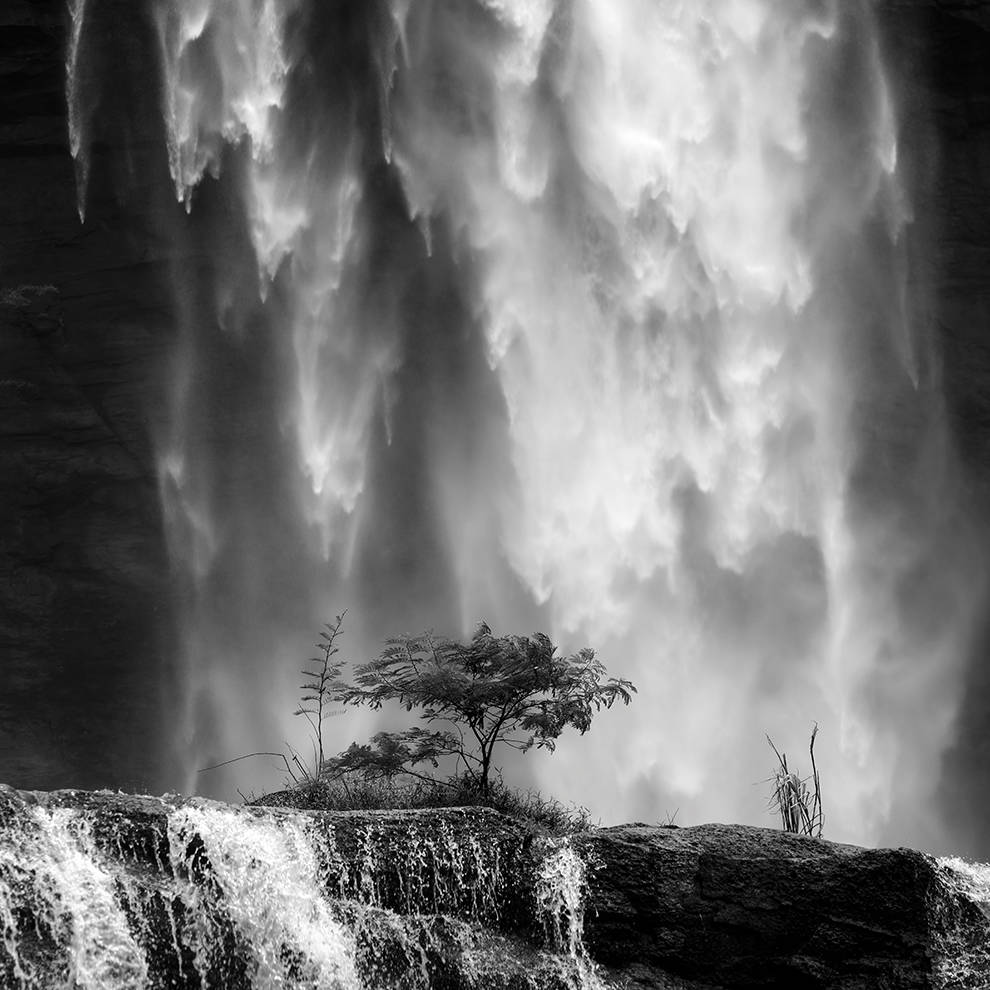 Art Print Germinate - zelf samenstellen - Afbeelding 2