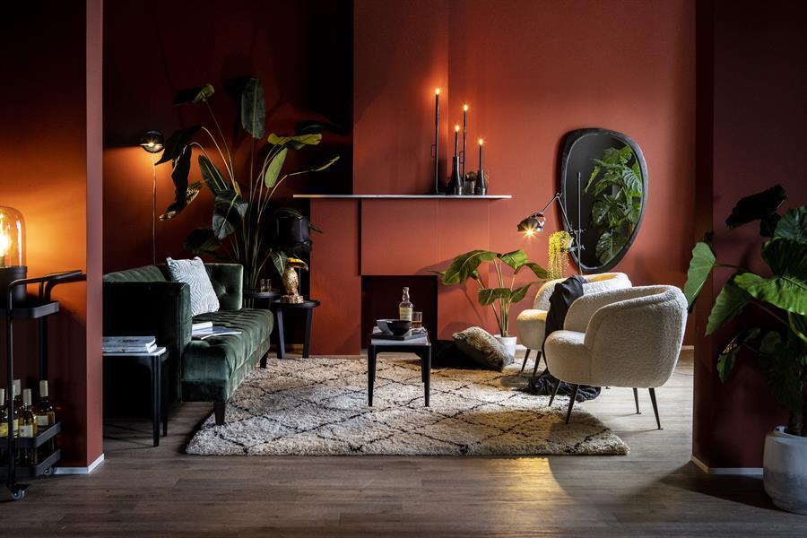 Spiegel Plecto Mangohout - Zwart - Afbeelding 19